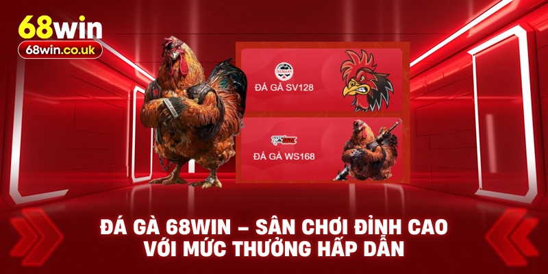 Đá Gà 68WIN – Sân Chơi Đỉnh Cao Với Mức Thưởng Hấp Dẫn